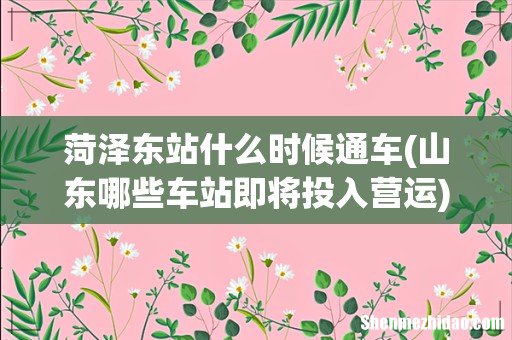 山东哪些车站即将投入营运 菏泽东站什么时候通车