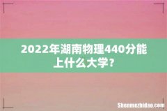 2022年湖南物理440分能上什么大学？