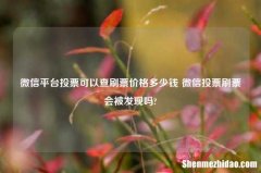 微信平台投票可以查刷票价格多少钱 微信投票刷票会被发现吗?