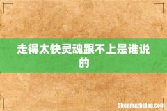 走得太快灵魂跟不上是谁说的