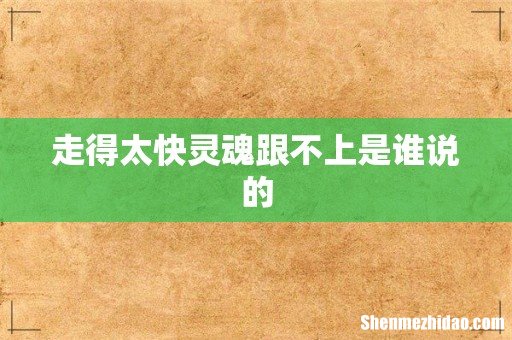 走得太快灵魂跟不上是谁说的