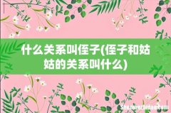 侄子和姑姑的关系叫什么 什么关系叫侄子