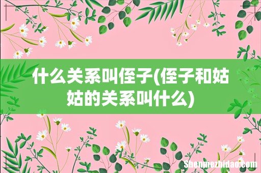 侄子和姑姑的关系叫什么 什么关系叫侄子