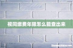 视同缴费年限怎么能查出来