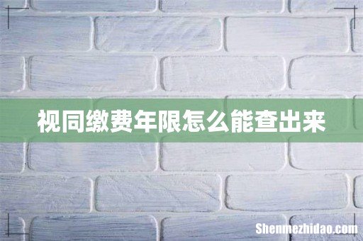 视同缴费年限怎么能查出来