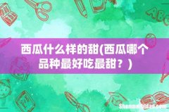 西瓜哪个品种最好吃最甜？ 西瓜什么样的甜