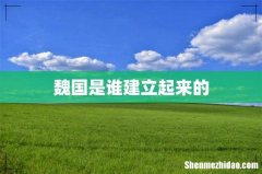 魏国是谁建立起来的