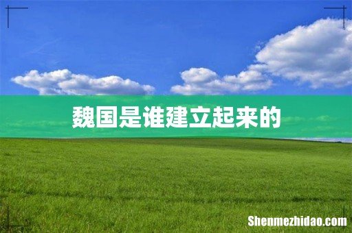 魏国是谁建立起来的
