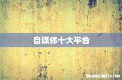 自媒体十大平台