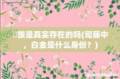 司藤中，白金是什么身份？ 苅族是真实存在的吗