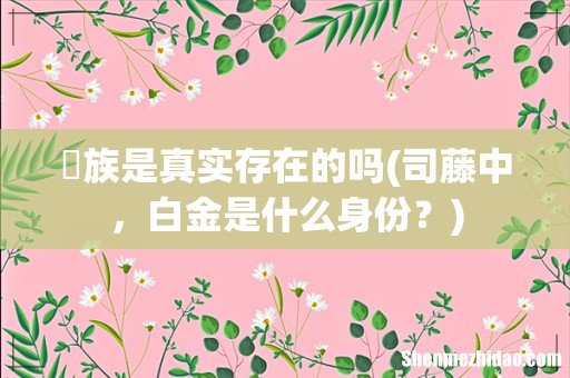 司藤中,白金是什么身份? 苅族是真实存在的吗