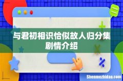与君初相识恰似故人归分集剧情介绍