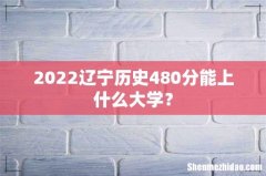 2022辽宁历史480分能上什么大学？