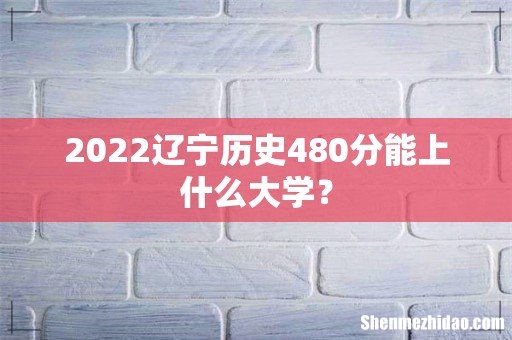 2022辽宁历史480分能上什么大学?
