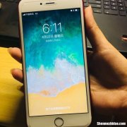 苹果6S为什么4G老是不见了 苹果6s突然没有4g了,怎么办?