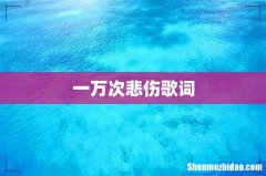 一万次悲伤歌词