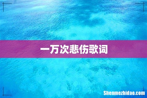 一万次悲伤歌词