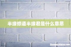 半缘修道半缘君是什么意思