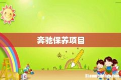 奔驰保养项目