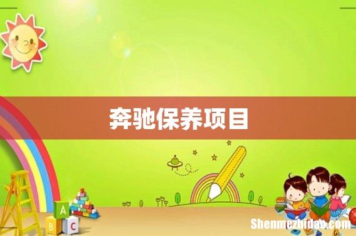 奔驰保养项目