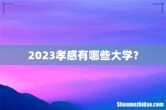 2023孝感有哪些大学？