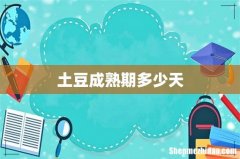 土豆成熟期多少天