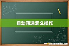 自动筛选怎么操作