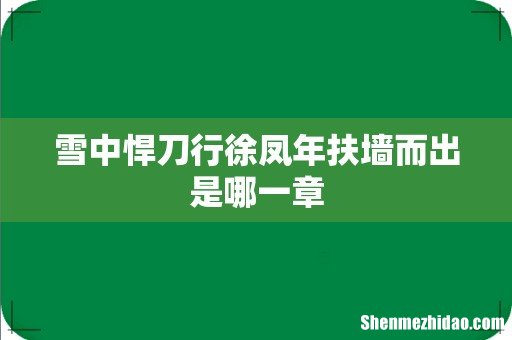 雪中悍刀行徐凤年扶墙而出是哪一章