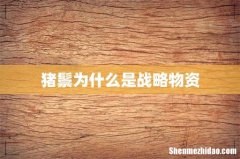 猪鬃为什么是战略物资