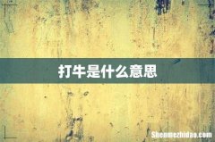 打牛是什么意思