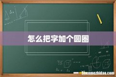 怎么把字加个圆圈