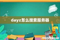 dayz怎么搜索服务器