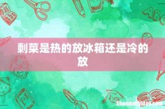 剩菜是热的放冰箱还是冷的放