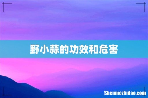 野小蒜的功效和危害