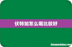 伏特加怎么喝比较好