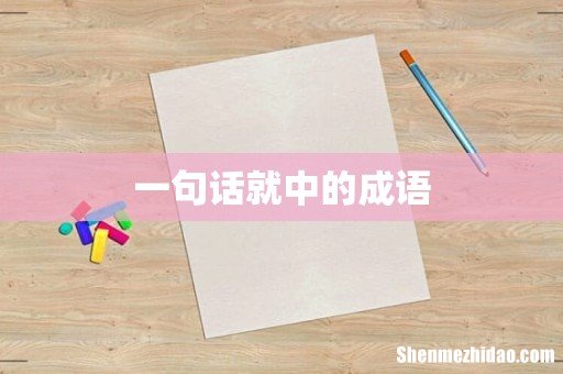 一句话就中的成语