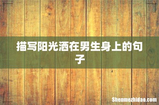 描写阳光洒在男生身上的句子