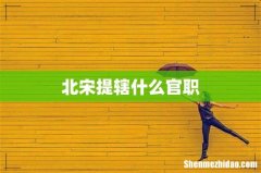 北宋提辖什么官职