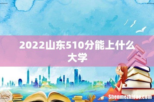 2022山东510分能上什么大学