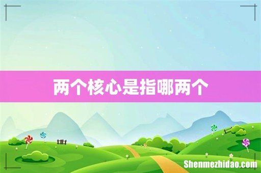 两个核心是指哪两个