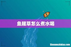 鱼腥草怎么煮水喝