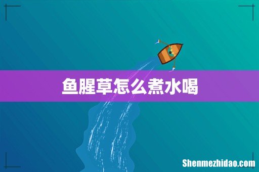 鱼腥草怎么煮水喝