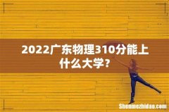 2022广东物理310分能上什么大学？
