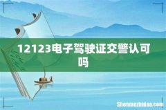 12123电子驾驶证交警认可吗