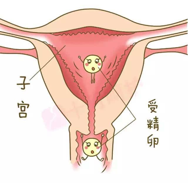 生化妊娠之后多久停止出血 生化妊娠之后多久停止出血了