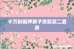 千万别抵押房子贷款买二套房