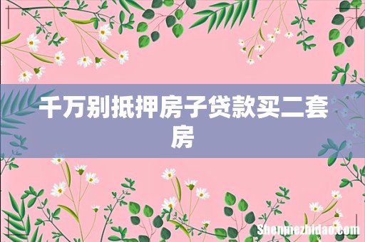 千万别抵押房子贷款买二套房