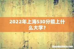 2022年上海530分能上什么大学？