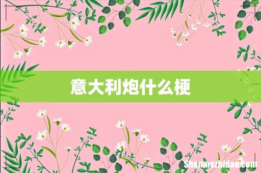 意大利炮什么梗