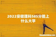 2022安徽理科585分能上什么大学